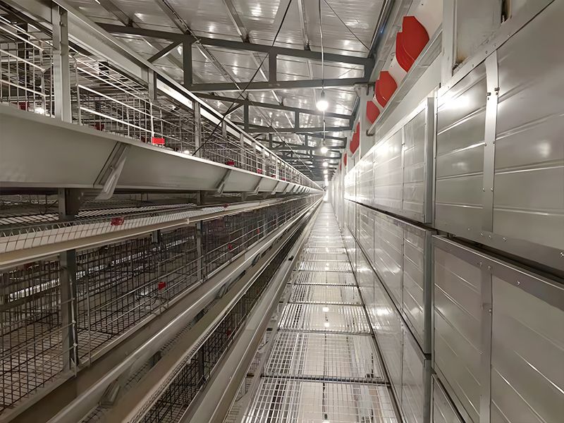 Stacked automated breeding equipment